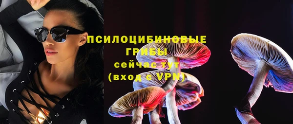 мдпв Дмитровск