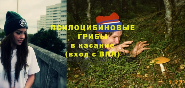 мдпв Дмитровск