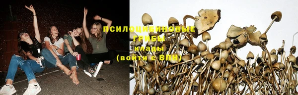 бутик Дмитров