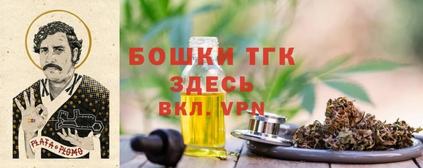мдма Дмитриев
