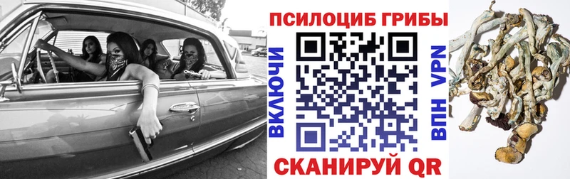 Галлюциногенные грибы GOLDEN TEACHER Кемь